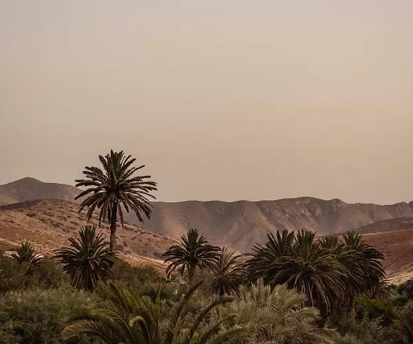 شقة Casa Checa 1 *